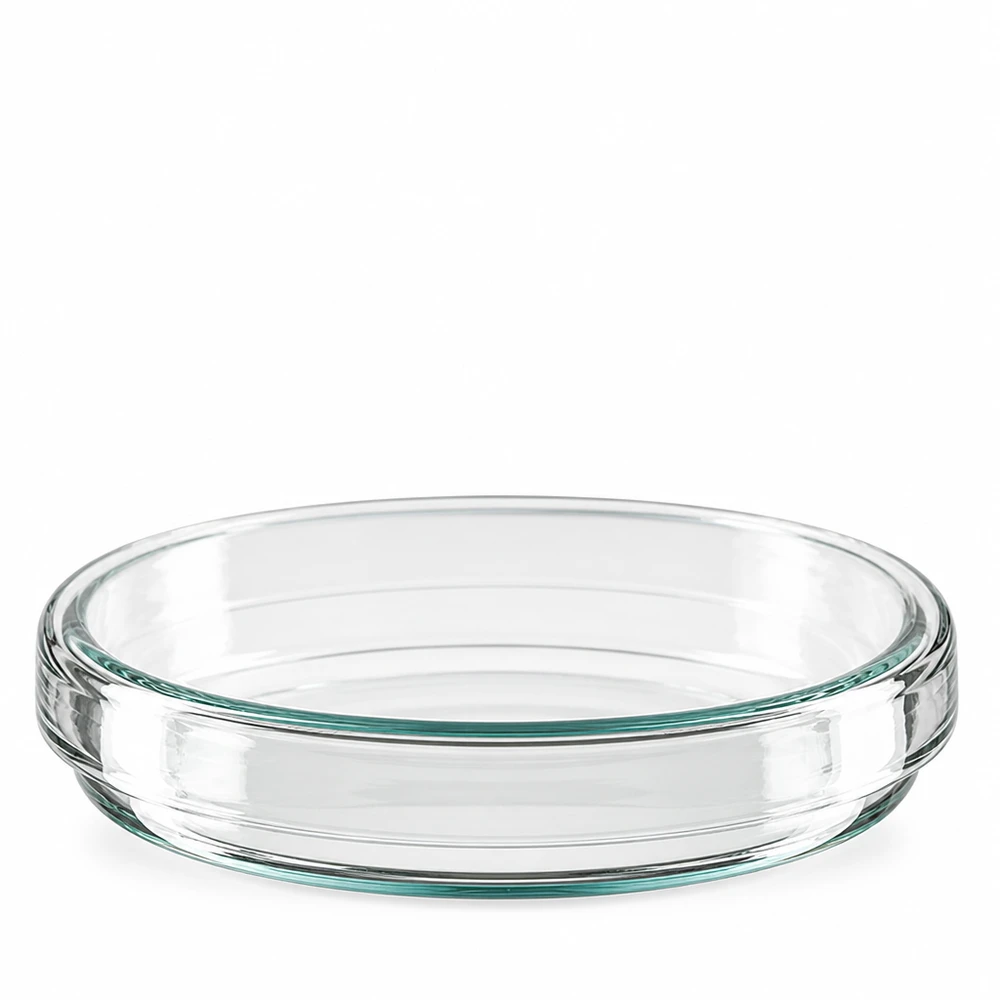 Boîte de Petri en verre sans compartiments, 80x15mm Une boîte de Pétri en verre de 80 x 15 mm, photographiée de dessus et de profil sur fond blanc