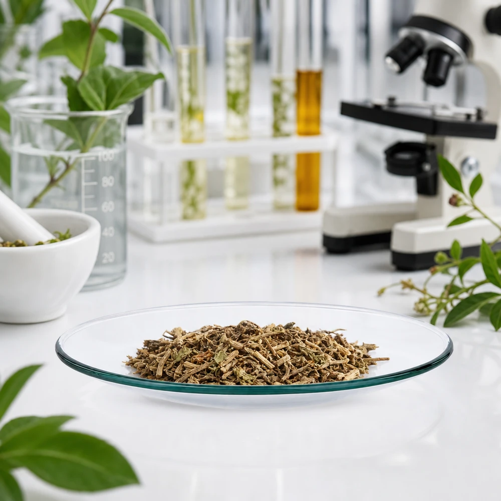 Plateau en verre de montre dans un environnement de laboratoire stérile pour la recherche pharmaceutique sur les plantes