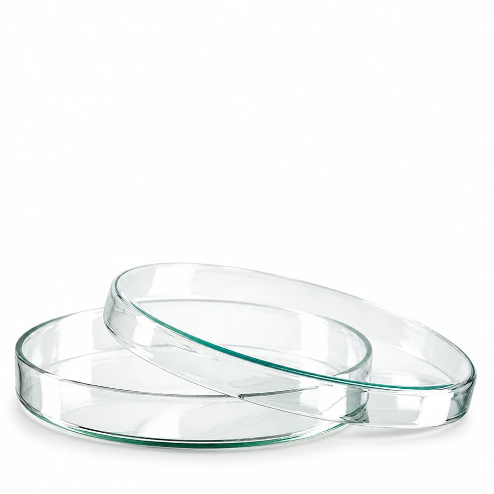 Deux boîtes de Pétri rondes en verre de 120 x 20 mm empilées l'une sur l'autre sur un fond blanc