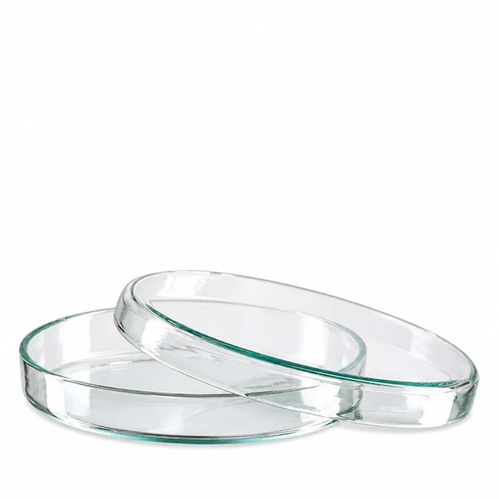 Deux boîtes de Pétri en verre transparent de 90 x 15 mm empilées l'une sur l'autre sur un fond blanc