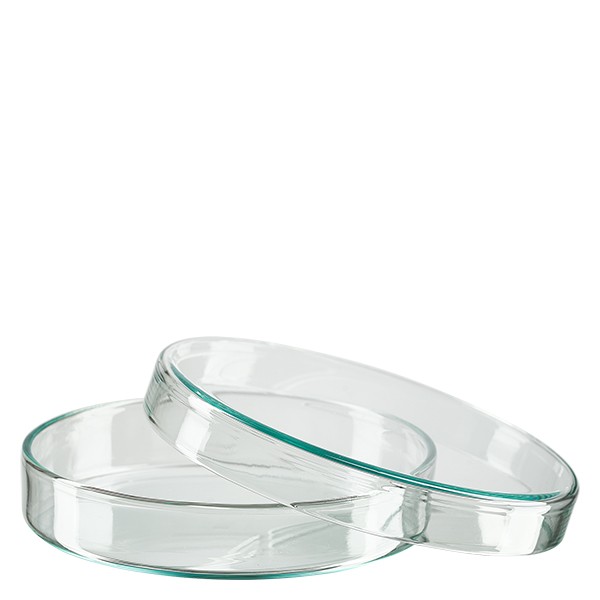Boîte de Petri en verre sans compartiments, 100x20mm Boîte de Petri en verre sans compartiments, 100x20mm