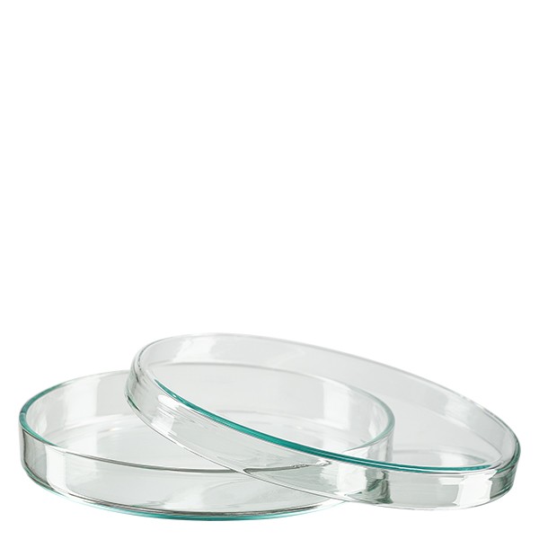 Boîte de Petri en verre 100x10 mm
