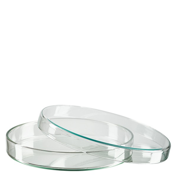 Boîte de Petri en verre 120x20 mm Boîte de Petri en verre 120x20 mm