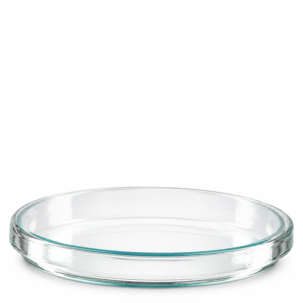 Une boîte de Pétri en verre de 100 x 15 mm, vue de dessus et de profil sur fond blanc