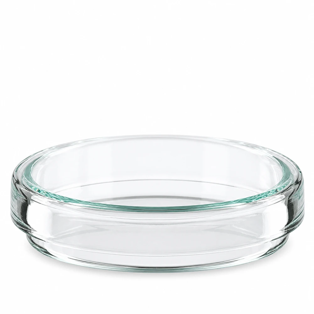 Boîte de Pétri en verre 60x15 mm Une boîte de Pétri en verre, vide et transparente, de 60 x 15 mm, vue de face sur fond blanc