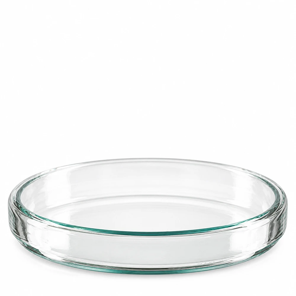 Une boîte de Pétri isolée en verre borosilicaté transparent de 90 x 15 mm, photographiée en plongée