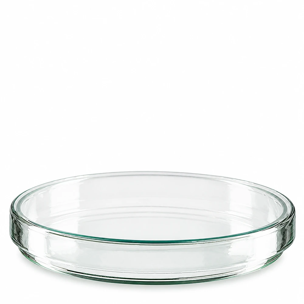 Boîte de Petri en verre 120x20 mm Une boîte de Pétri en verre vide, 120 x 20 mm, vue de face depuis le haut sur fond blanc
